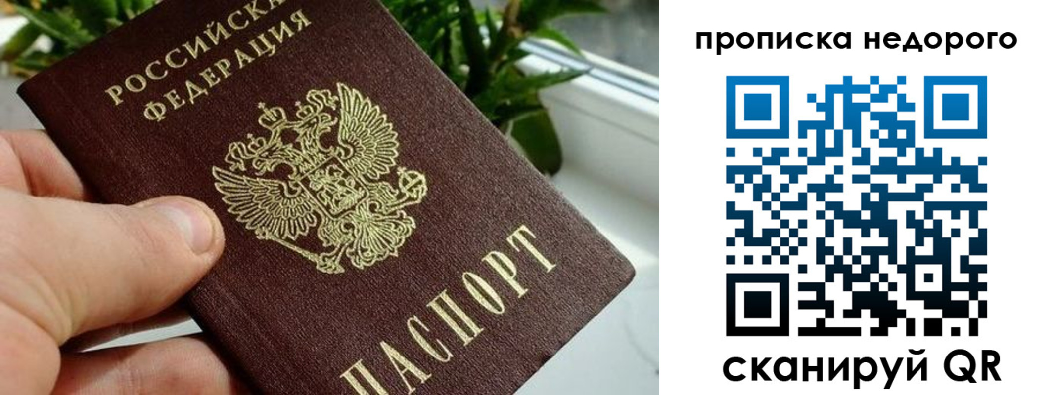 прописка поиск в Набережных Челнах